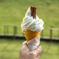 Soft Serve Powder Mix | Wholesale Soft Serve Powders | Good Food Warehouse