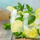 Wild Mint Soda Recipe | Shott Light Fruit Syrup Supplier | Good Food Warehouse