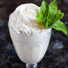 Wild Mint Frappe Recipe | Shott Light Fruit Syrup Distributor| Good Food Warehouse