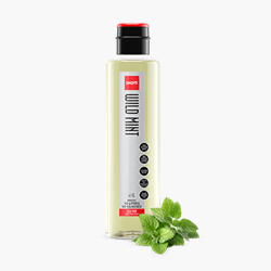 SHOTT  Wild Mint Syrup | Shott Beverages  Wild Mint Syrup Supplier | Good Food Warehouse