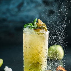 SHOTT Beverages Gold Kiwifruit Soda Recipe