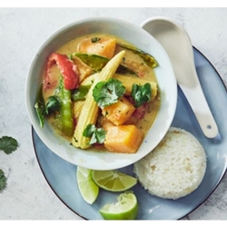 Spice Mix 1kg - Thai Vegetable Curry - Curry Flavours (1x1kg)