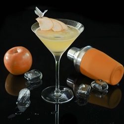 Apple Martini Recipe | Shott Light Fruit Syrup Supplier | Good Food Warehouse