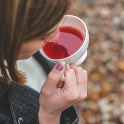 Performance Boost Bone Broth Powder | Broth&Co Wholesale | Good Food Warehouse