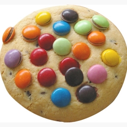 Large Wrapped Smartie Cookies | The Original Gourmet Wholesale | Good Food Warehouse
