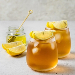 Spiced Ginger Beer Recipe | Shott Light Fruit Syrup Supplier | Good Food Warehouse