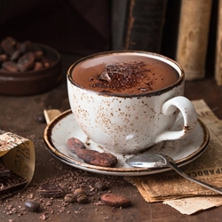 Decadent Hot Chocolate Recipe | Shott Light Fruit Syrup Supplier | Good Food Warehouse