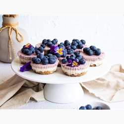 Raw Blueberry Cheesecakes | Brookfarm Muesli Supplier | Good Food Warehouse