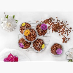Cacao & Coconut Granola Bites | Brookfarm | Good Food Warehouse