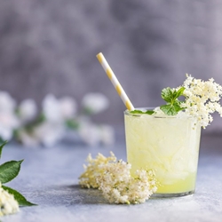 Elderflower Cider Recipe | Shott Light Fruit Syrup Distributor| Good Food Warehouse