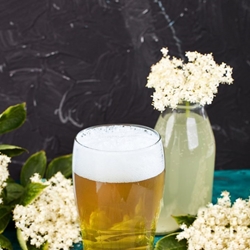Elderflower Beer Recipe | Shott Light Fruit Syrup Distributor| Good Food Warehouse