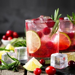 Cranberry & Lime Cider Recipe | Shott Light Fruit Syrup Supplier | Good Food Warehouse